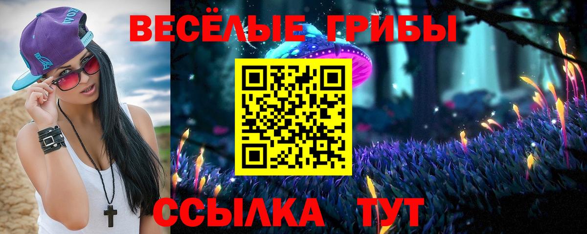 Псилоцибиновые грибы мухоморы Торжок